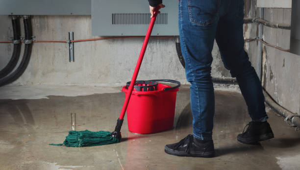 Best Basement water damage restoration  in Northville, NY