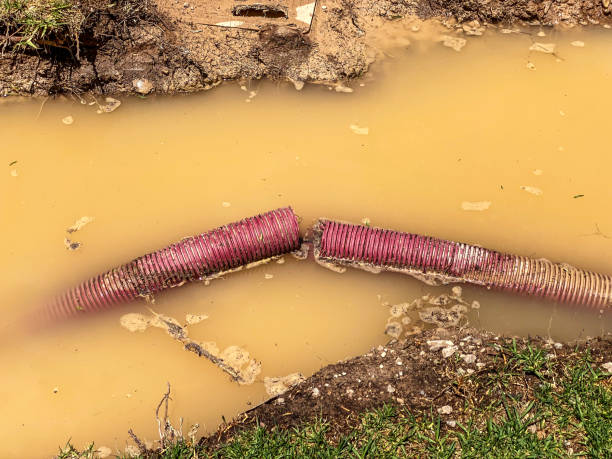 Best 24/7 water damage repair  in Northville, NY