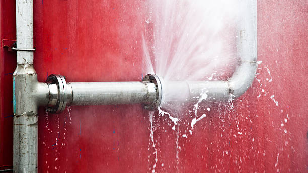 Best Water damage cleanup near me  in Northville, NY